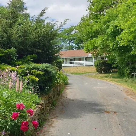 Chalet Mimosa Pour 6 Prix Semaine Blavignac